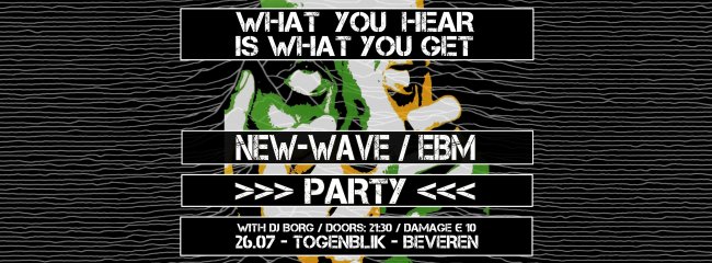 27.07 W.Y.H.I.W.Y.G New Wave/EBM party
