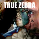 NEWS The electronic einzelgnger TRUE ZEBRA releases 123