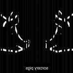 NEWS The Force Dimension releases brand new album Sorcery Pigs! NEWS The Force Dimension releases brand new album Sorcery Pigs!